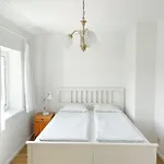 Appartement Duzy Apartament Z Ogrodkiem I Parkingiem By Noclegi Renters
