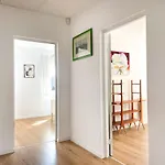 Duzy Apartament Z Ogrodkiem I Parkingiem By Noclegi Renters
